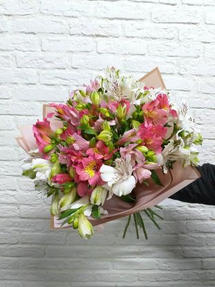 Picture of Alstroemeria