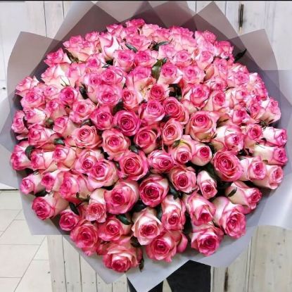 Picture of 101 Jumila Roses