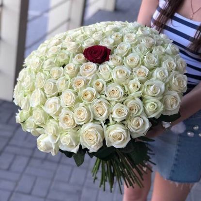 Picture of 100 white and 1 red roses