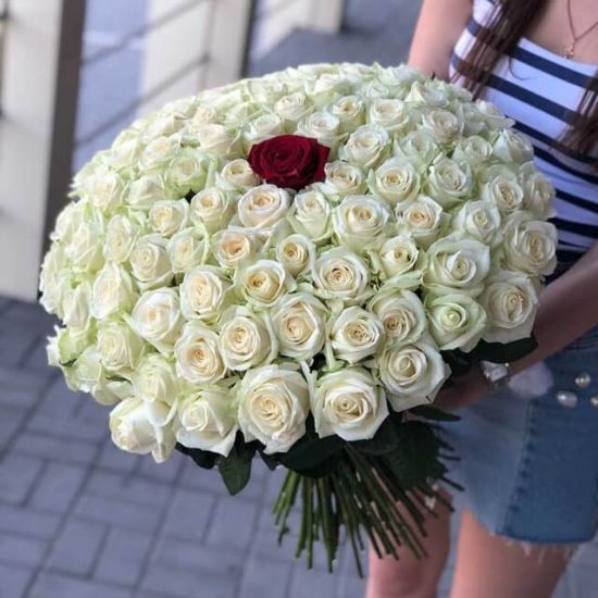 Picture of 100 white and 1 red roses
