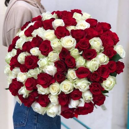 Picture of  101 red and white roses