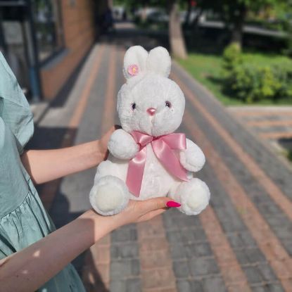 Picture of Toy  #11