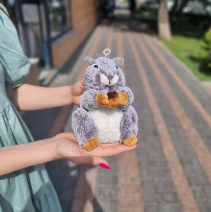 Picture of Toy  #6