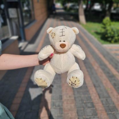 Picture of Toy  #3