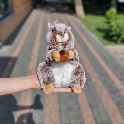 Picture of Toy  #1