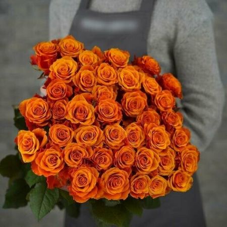 Picture for category Orange roses