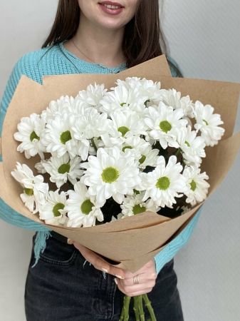 Picture for category Chrysanthemum