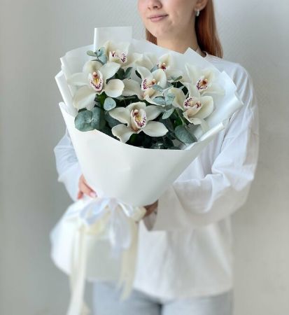Picture for category Orchid