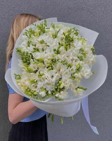 Picture for category Freesia