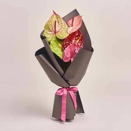 Picture for category Anthurium