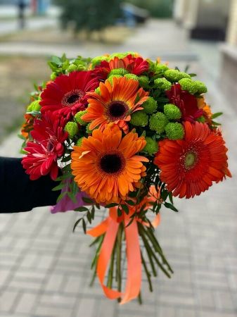 Picture for category Gerbera