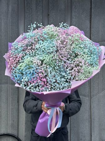 Picture for category Gypsophila