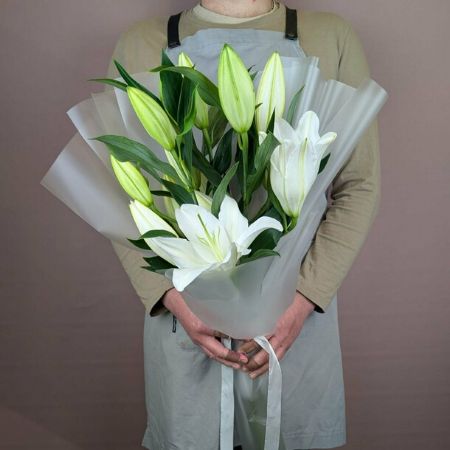 Picture for category Lilium