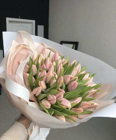 Picture for category Tulip