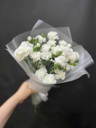 Picture for category Carnation