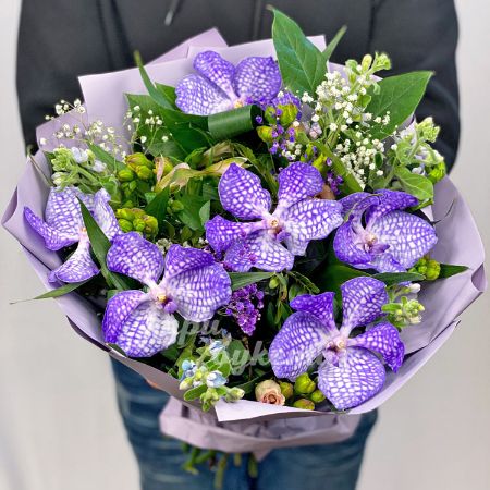 Picture for category Vanda