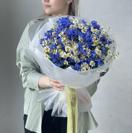 Picture for category Field flowers