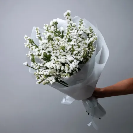 Picture for category Limonium