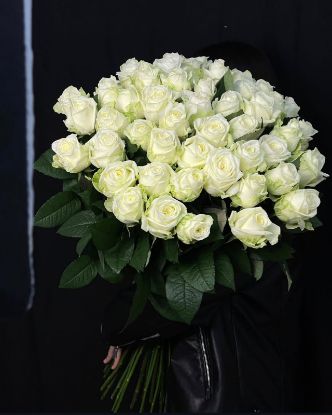 Picture of Carmen