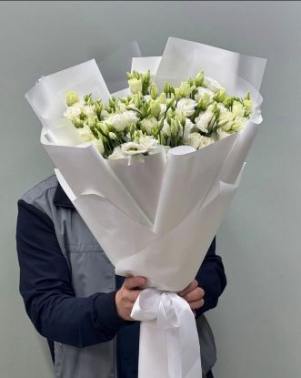 Կարոլինա - ի նկար